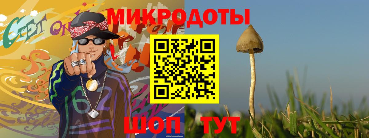 Галлюциногенные грибы GOLDEN TEACHER  сколько стоит  Вход с VPN  Волгодонск  Псилоцибиновые грибы Magic Shrooms 