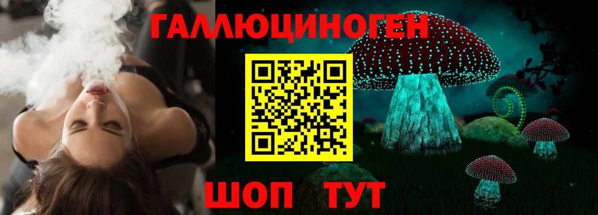 Галлюциногенные грибы прущие грибы Волгодонск