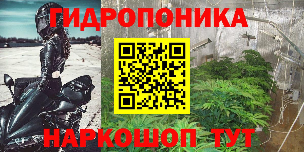 Бошки Шишки гибрид Волгодонск